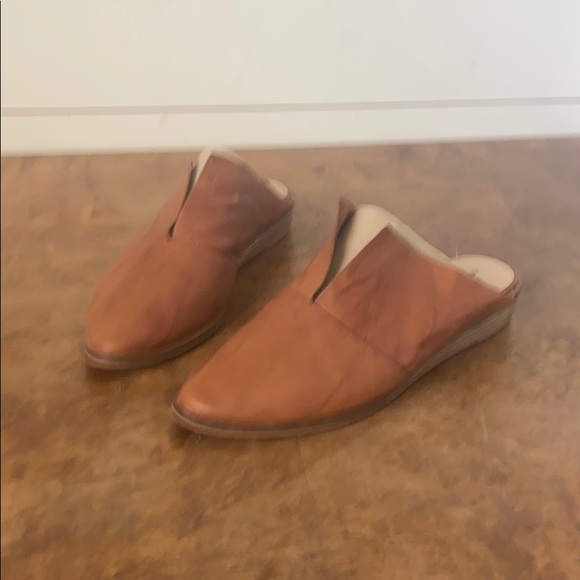 Kelsi dagger Brooklyn - Picture 2 of 4